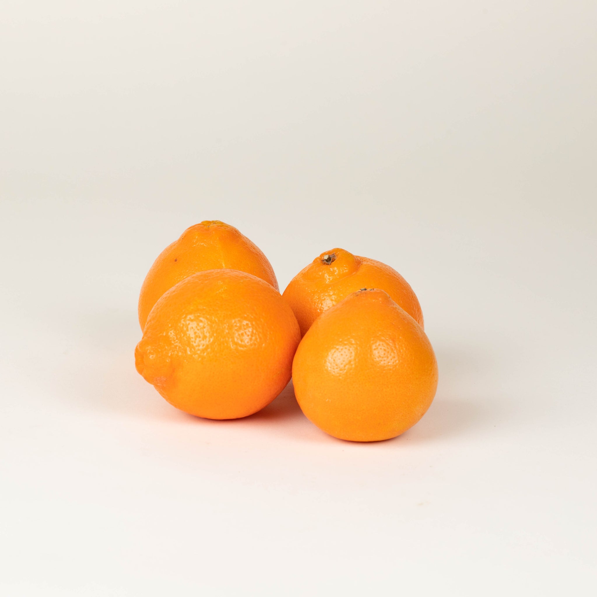 Minneola's