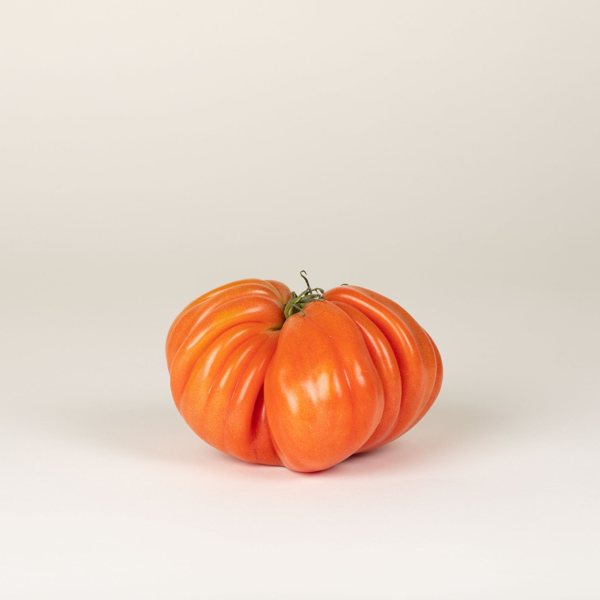 Coeur de Boeuf tomaten