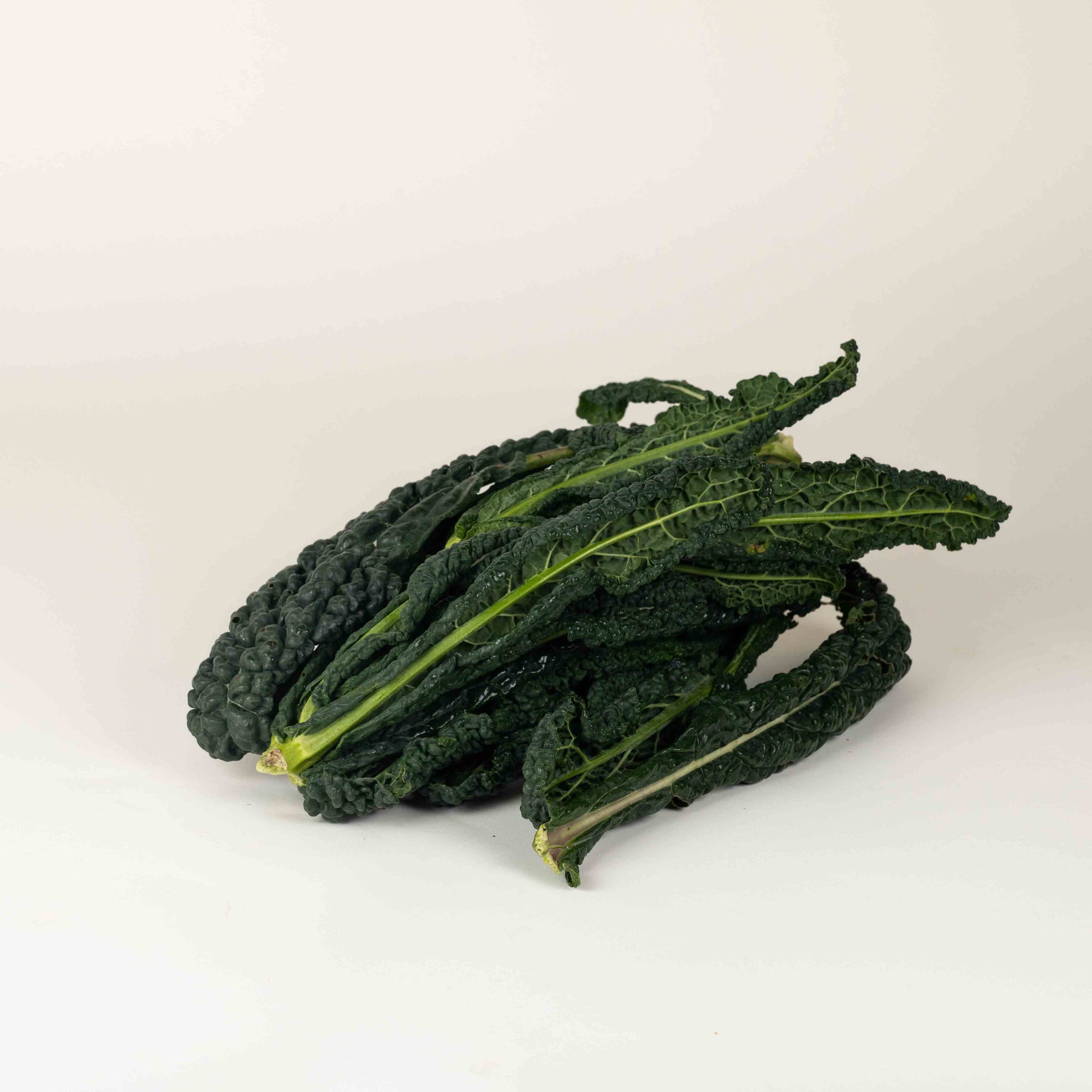 Cavolo Nero kool