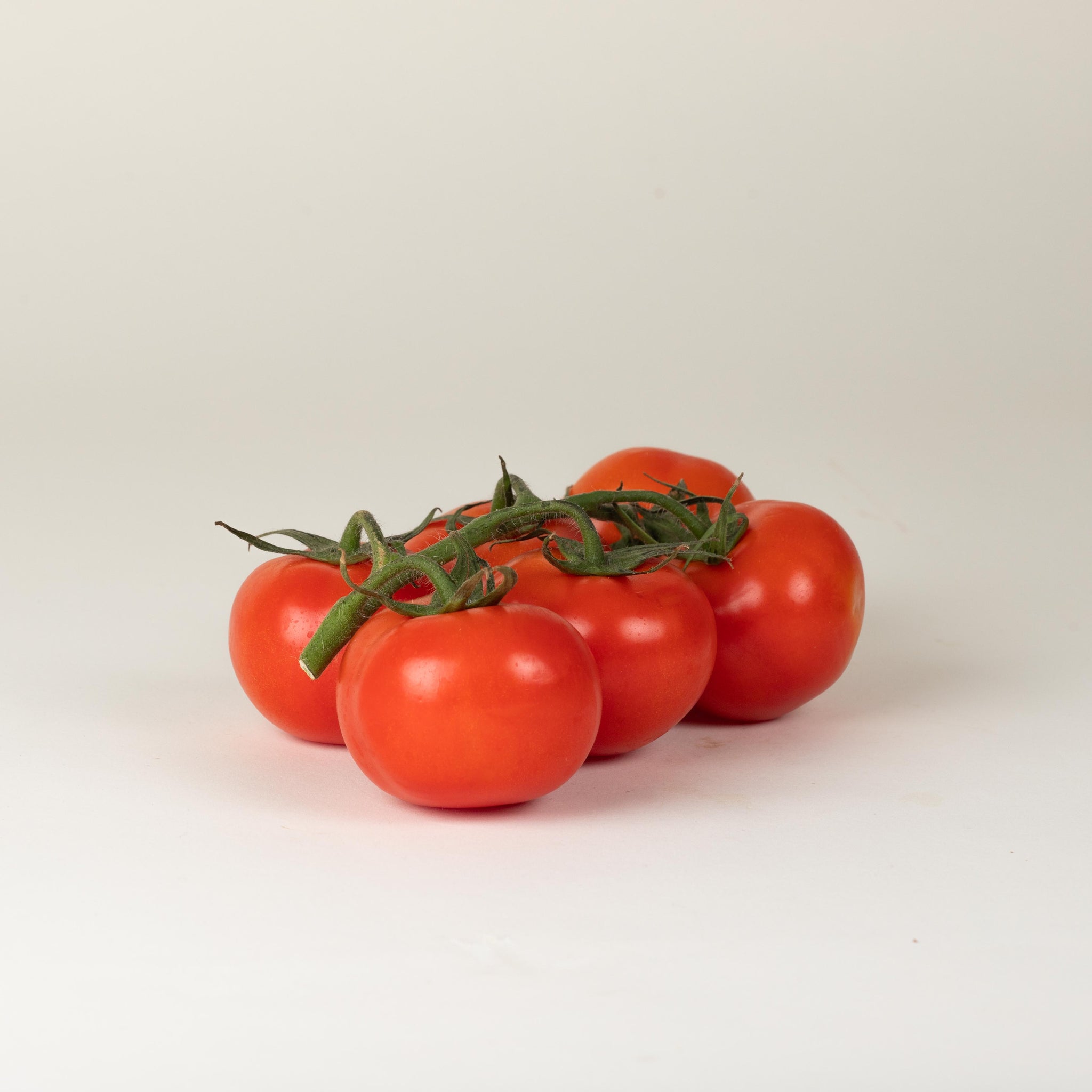 Tasty Tom tomaten